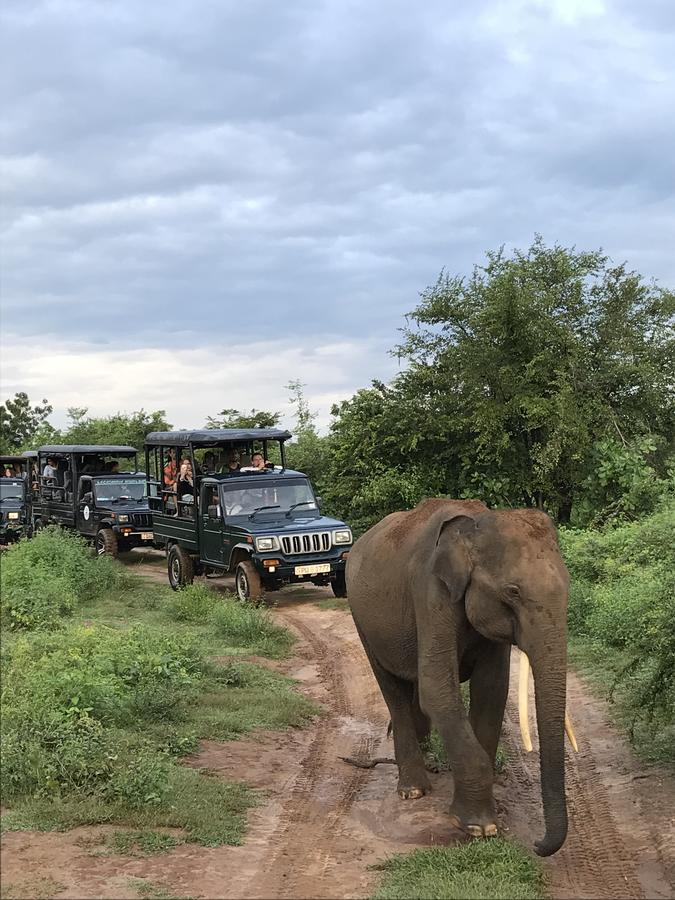 Dinesh Safari Homestay Удавалаве Екстериор снимка